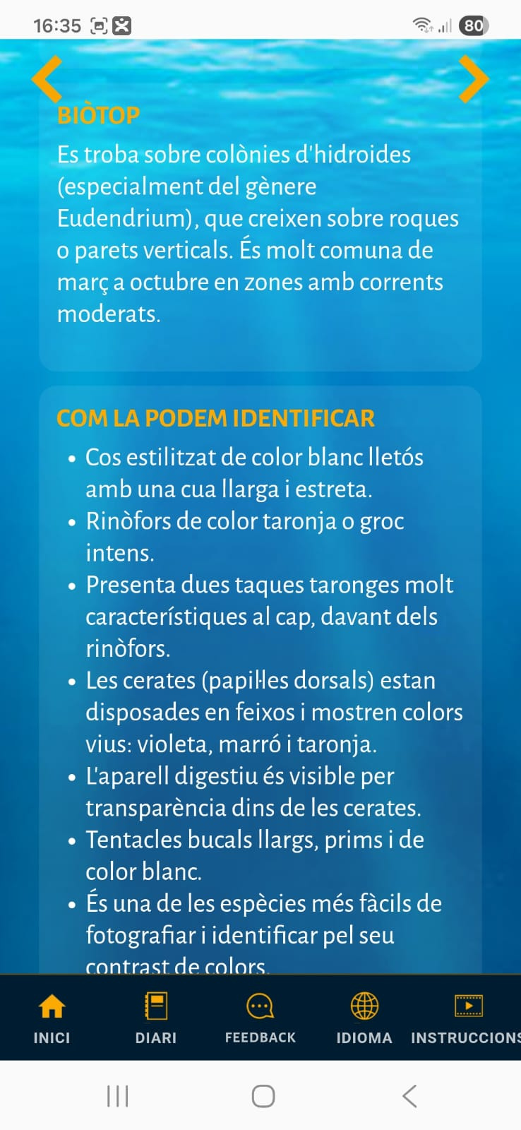 Fitxa detallada part 2