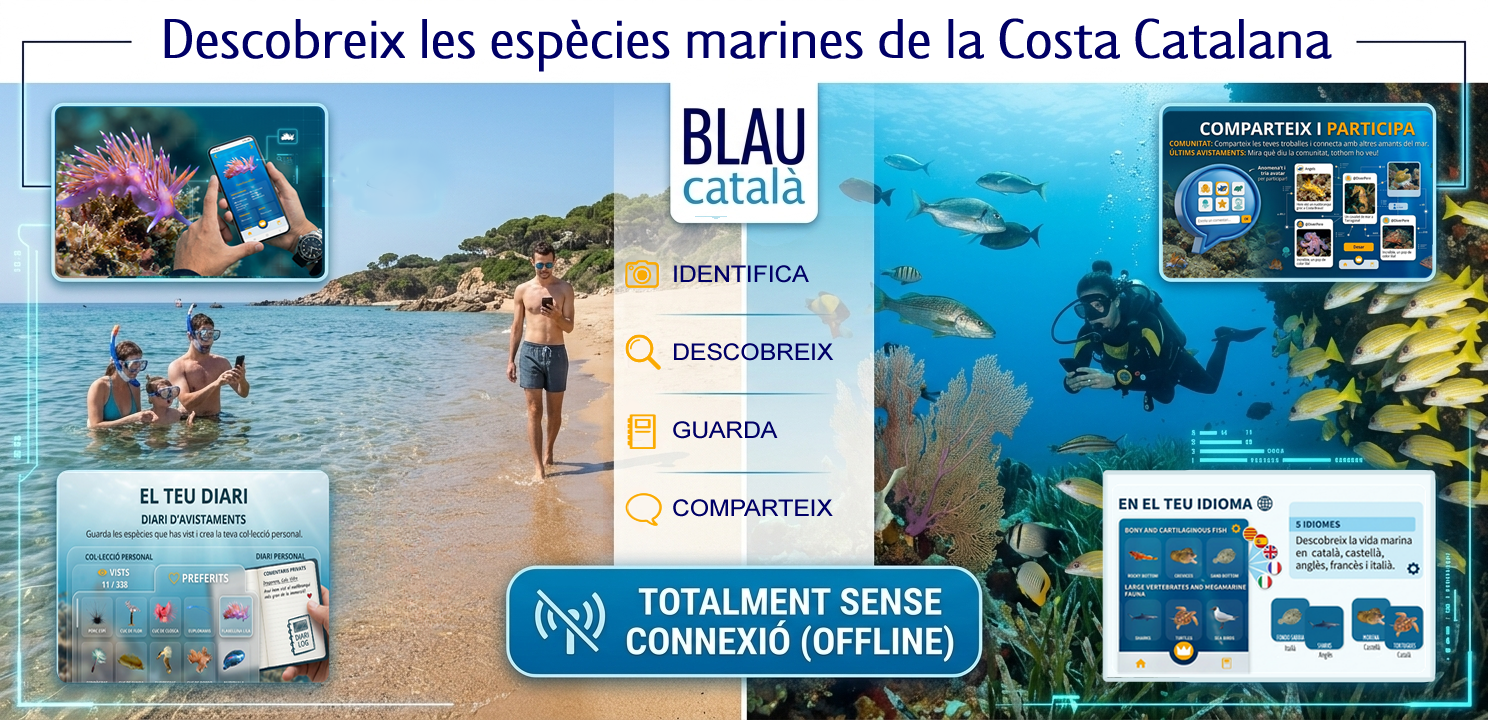 Cartell App BLAUcatalà